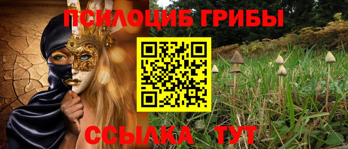 Галлюциногенные грибы прущие грибы Сатка